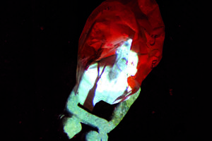 Exposition Anna.Laclaque – Femme fractale