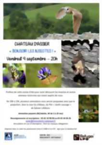 photo Stage de danse moderne à Assier