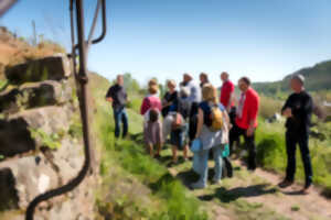 Visite guidée : le patrimoine vigneron de Guebwiller