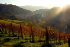 photo Promenade d'automne - marche gourmande