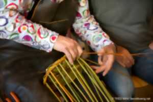 Atelier : le saule pour vanner ensemble