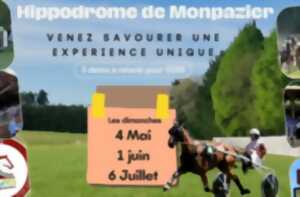 photo Courses de chevaux