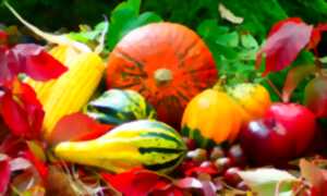 photo Fête de l'automne, vide-grenier