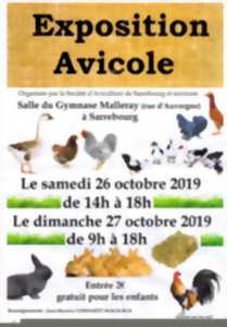 EXPOSITION AVICOLE