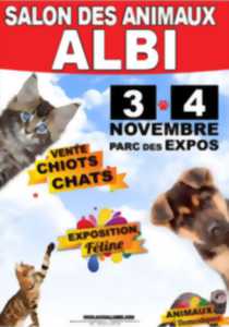 Tarn Foire Salon Salon Des Animaux Agenda Albi 81000