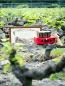photo Chasse au trésor dans les vignes au Domaine Sauvète