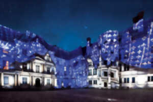 photo Spectacle Son et Lumière