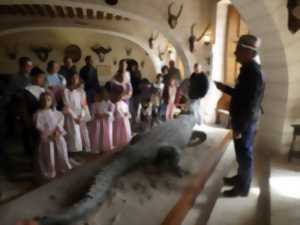 photo Visite spéciale : le château raconté aux enfants