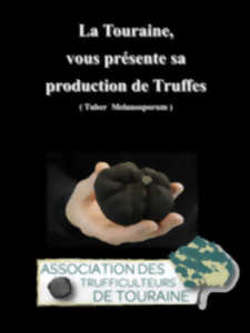 photo Marché aux truffes