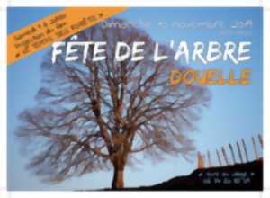 Fête de l'arbre à Douelle