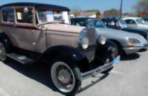 photo Les Rendez-vous de la Rétr'automobile Fort-mahonnaise