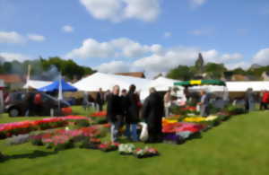 photo Fête des Géraniums