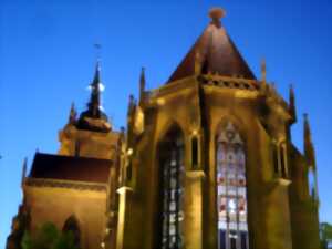 photo Visite guidée : Colmar se révèle la nuit