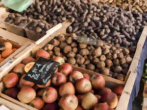 photo Marché du terroir