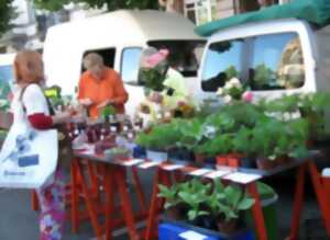 Marché terroir - Place Saint Joseph