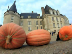 photo Halloween au château