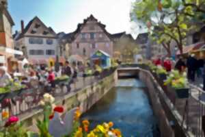 photo Marché de Pâques et de Printemps - Place de l'Ancienne Douane
