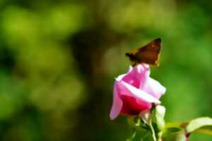 photo Concours photos