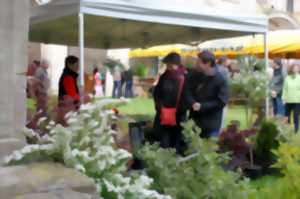 MARCHÉ DE TERROIR