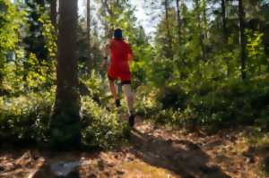 TRAIL - COURSE DE MONTAGNE