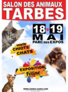 Hautes Pyrenees Foire Salon Salon Des Animaux Agenda Tarbes 65000