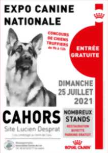 photo Exposition canine nationale