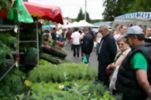 photo Foire aux foins