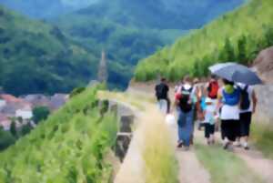 Marche populaire de montagne