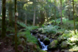 photo Club Vosgien : La cascade du Rudlin