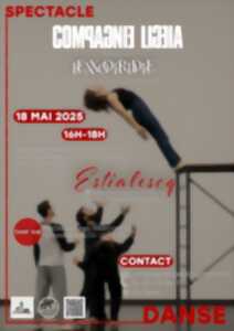 photo Spectacle de danse contemporaine 