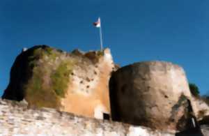 photo JOURNÉES EUROPÉENNES DU PATRIMOINE - VISITE LIBRE DU CHATEAU QUI QU'EN GROGNE