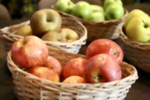 photo Fête de la pomme