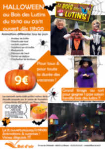 HALLOWEEN AU BOIS DES LUTINS