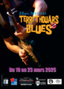 photo Festival Terri'Thouars Blues