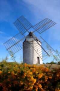 photo Journées Européennes du Patrimoine : visite commentée du moulin