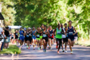 La course entre mer et forêt,10 km et semi-marathon