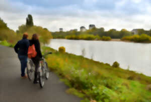 photo Visite Guidée à vélo : Tours et le street-art