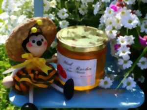 photo Le Rucher d'Anne-Marie : rencontre avec une apicultrice passionnée