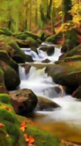 BALADE LES PIEDS DANS L'EAU