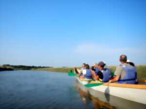 photo Visite libre de la réserve ornithologique et canoë collectif