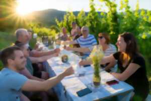 Balade au crépuscule dans les vignes