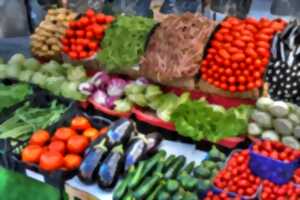 photo Marché Estival de Saint Cyprien