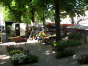 photo MARCHÉ TRADITIONNEL DE CESSENON-SUR-ORB