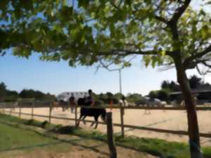 Loire Atlantique Portes Ouvertes Joalland Equitation Agenda La Plaine Sur Mer 44770