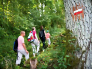 Randonnée pédestre d'automne à Montoire-sur-le-Loir