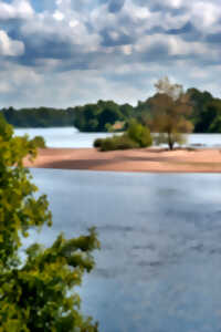 photo Agissons pour une Loire propre avec la Maison de la Loire du Loir-et-Cher