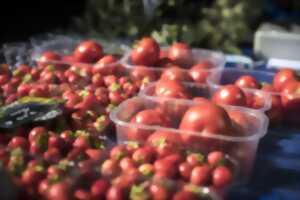 photo Marché gourmand