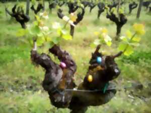 photo Pâques en vignes au château Haut-Claverie