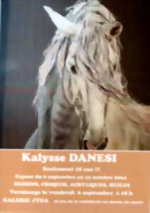 photo Exposition de Kalysse Danesi