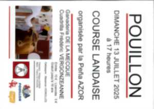 photo Course Landaise